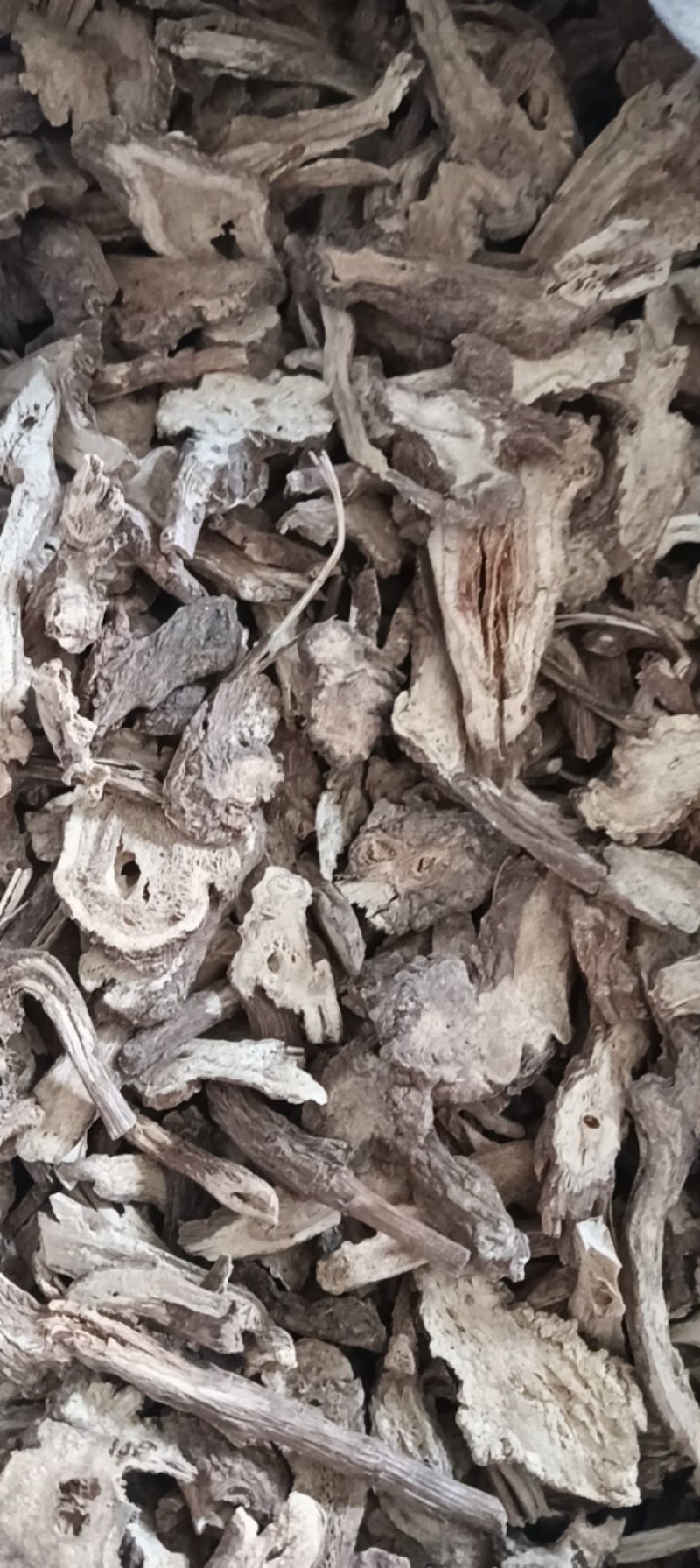 白术生白术规格齐全现货供应鲁赣中药材批发