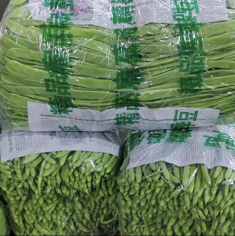 山东精品扁豆，扁芸豆，大扁豆，绿扁豆，市场货大量供应。