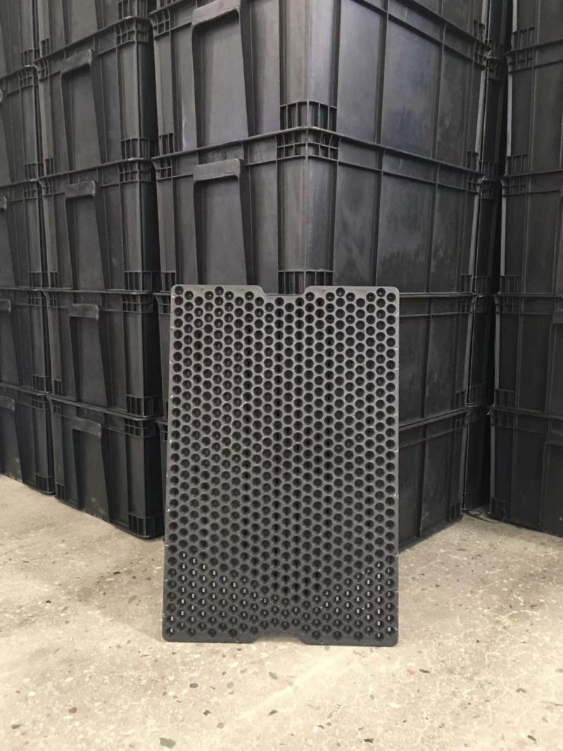 花生水培箱中间把手圆孔板子芽苗菜种植工具**款
