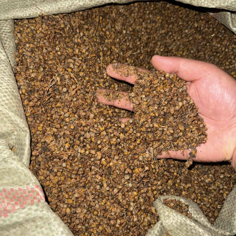 工厂直供精选新货源送礼佳品菊花茶