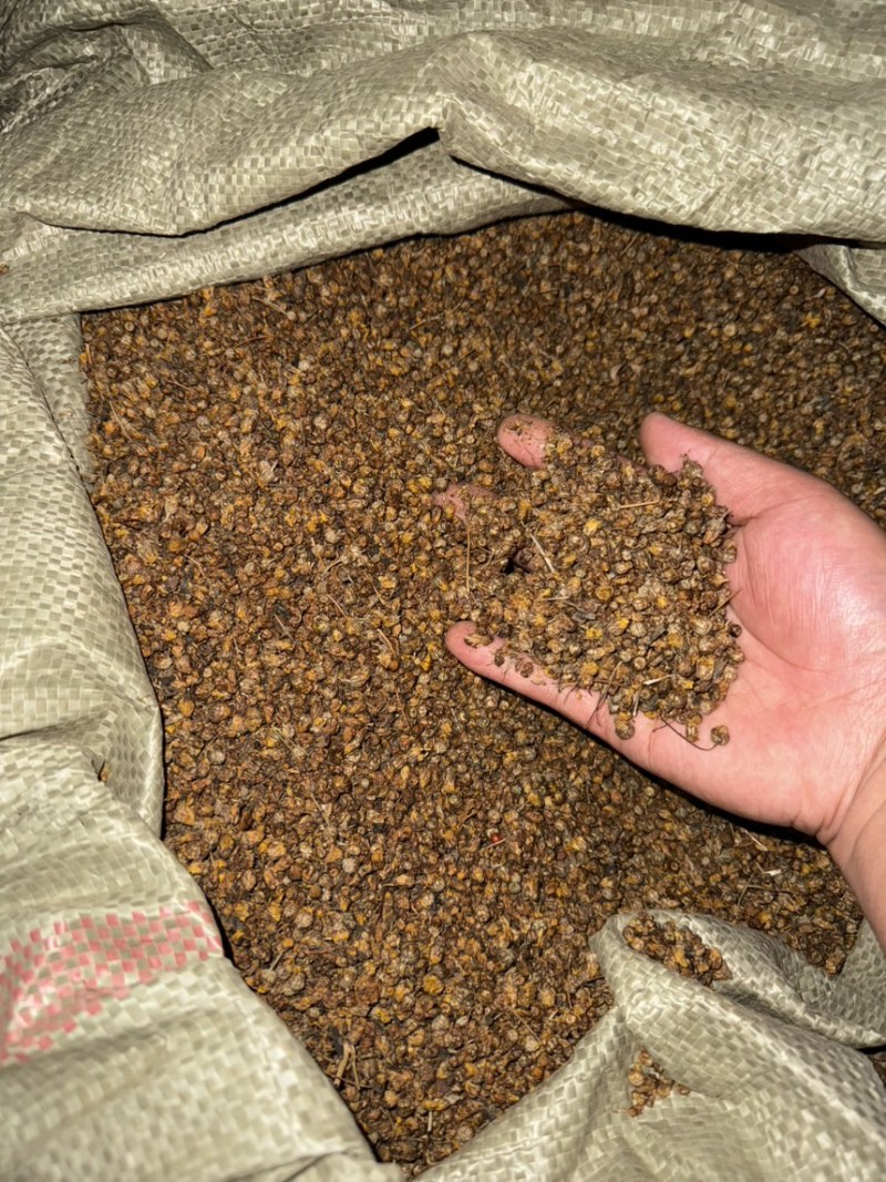 工厂直供精选新货源送礼佳品菊花茶