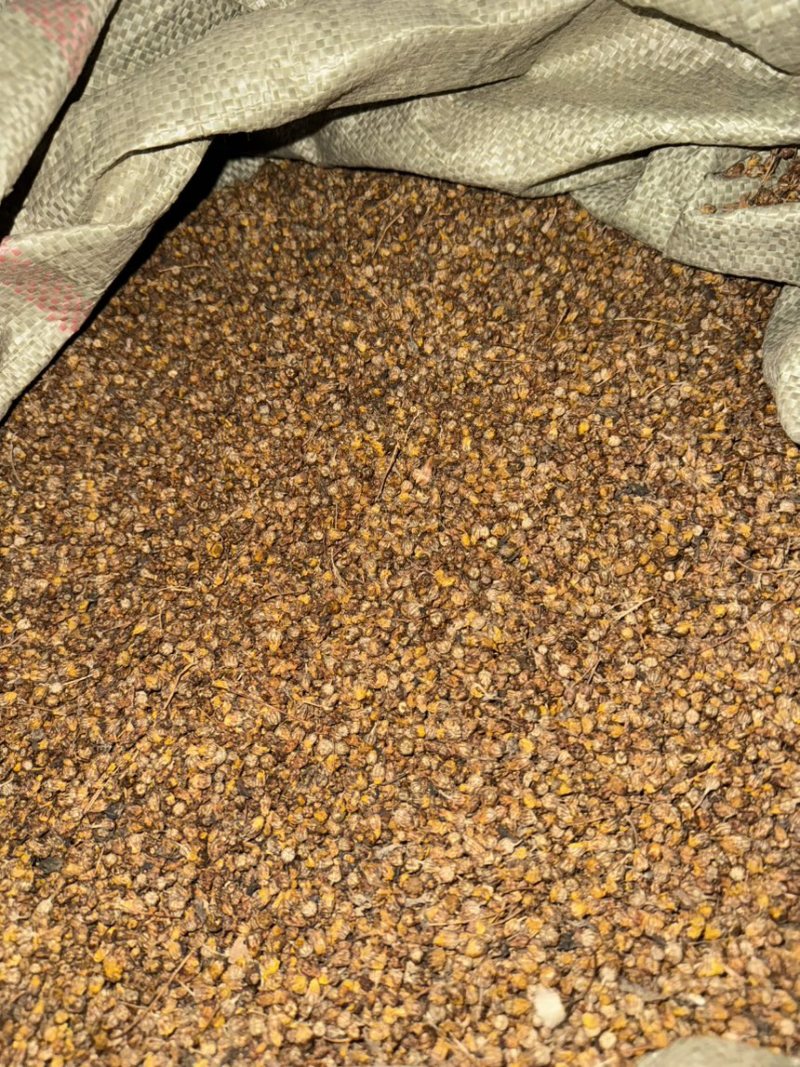 工厂直供精选新货源送礼佳品菊花茶