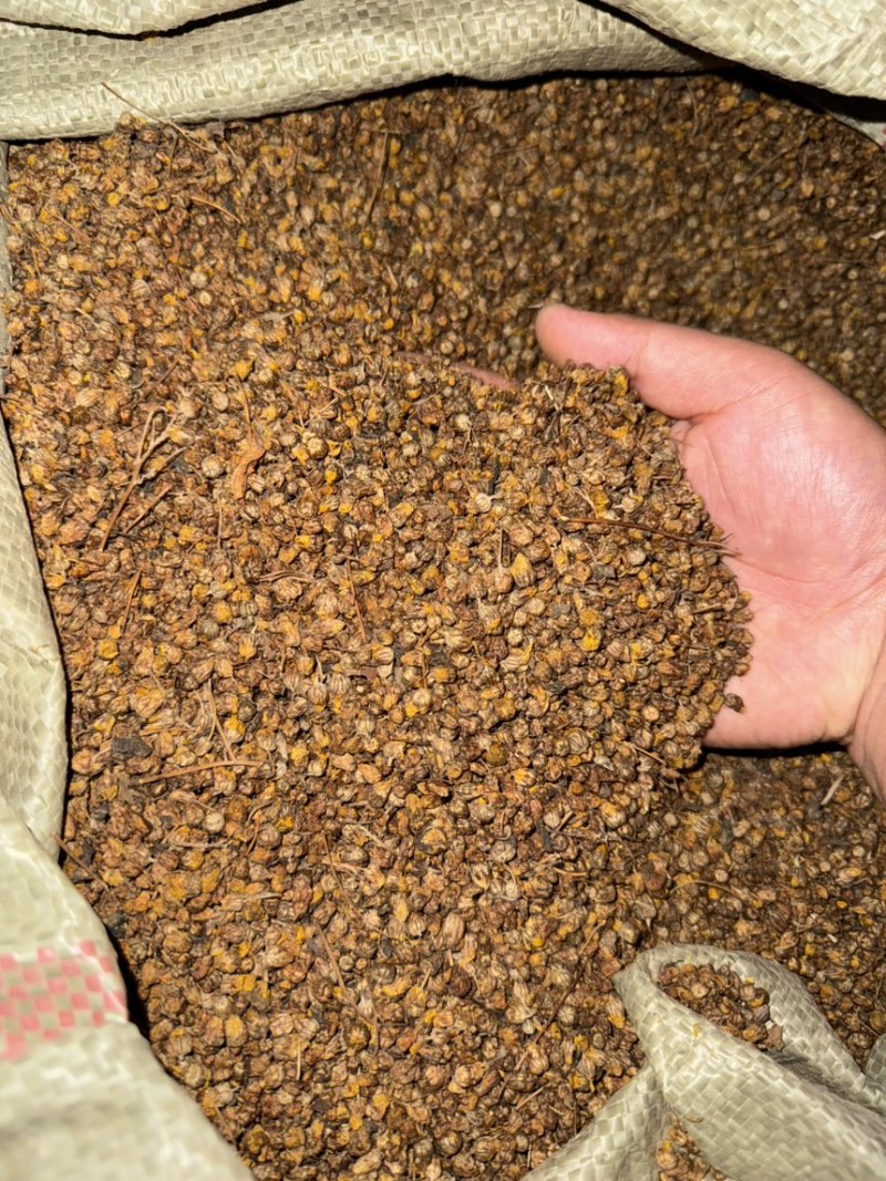 工厂直供精选新货源送礼佳品菊花茶