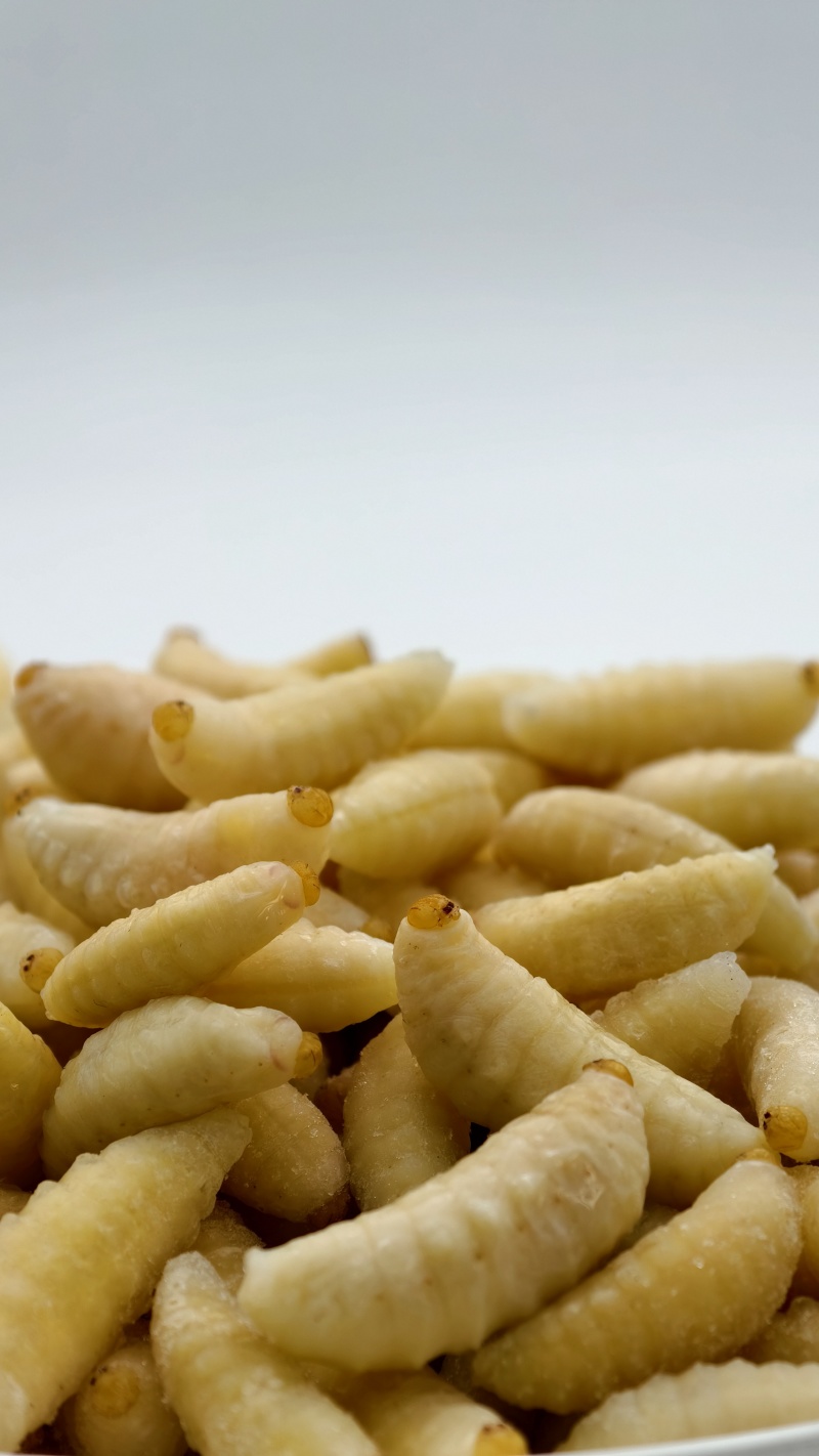 一级蜂蛹（一手货源）常年大量供应，规格齐全，对接批发零售