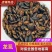 龙虱，金边龙虱，常年大量供应，品质保证，欢迎来电洽谈