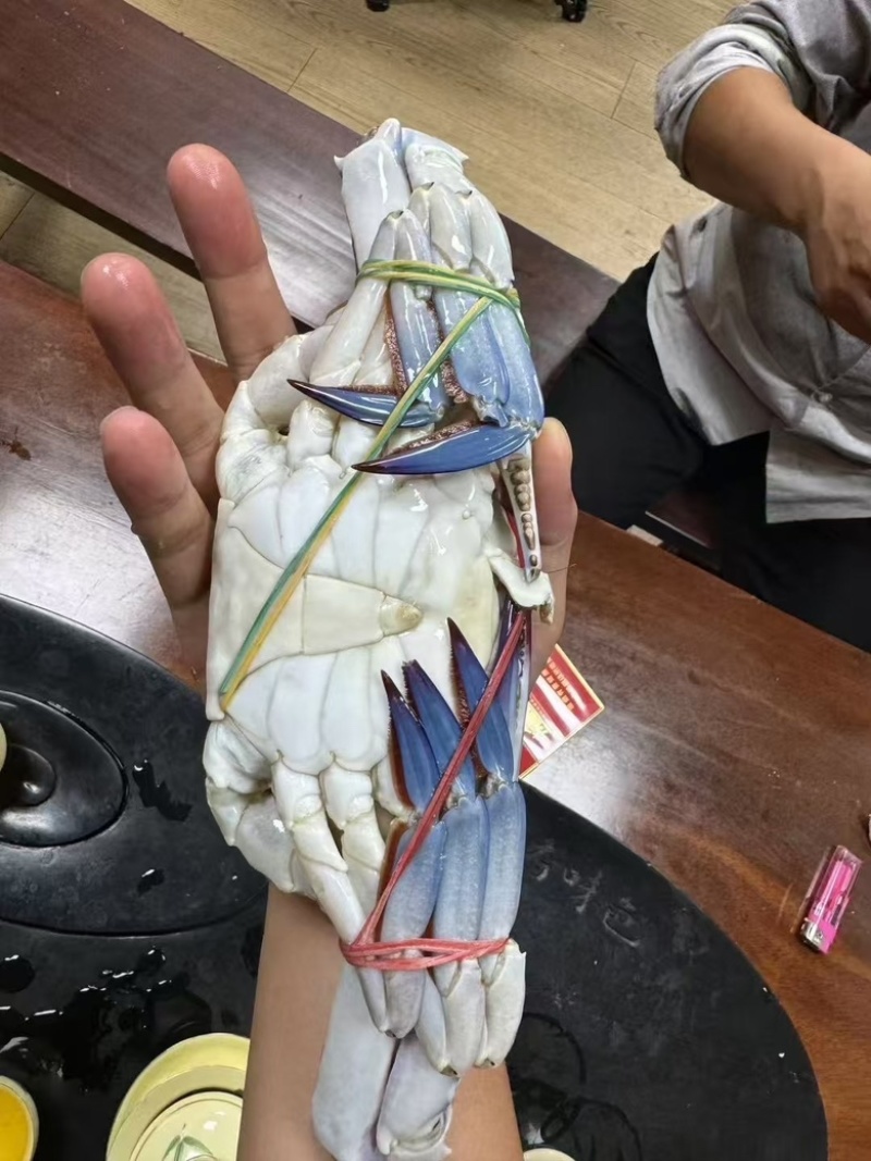 兰花蟹公母都有货母的带膏公的满肉规格齐全海螃蟹梭子蟹海洋
