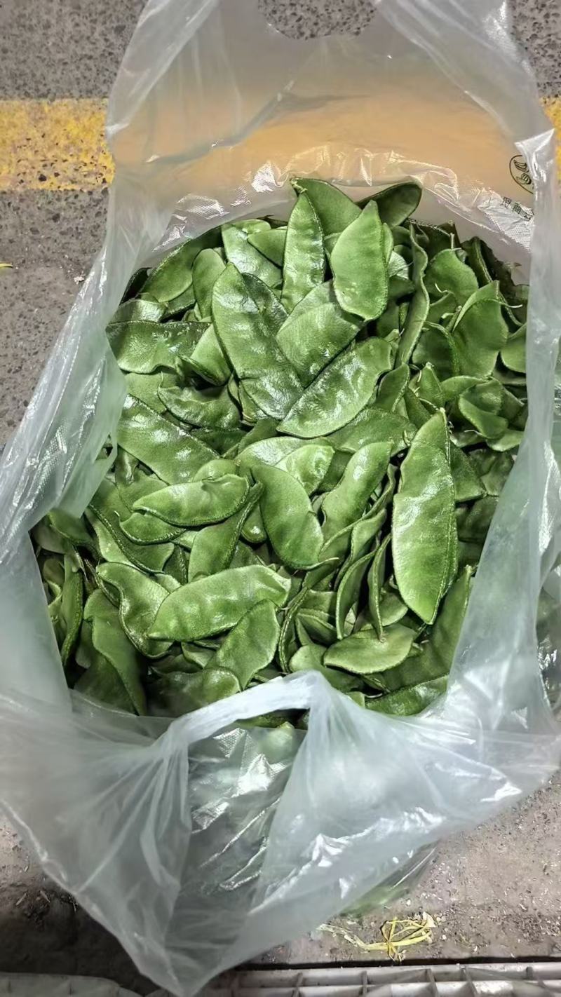 冷棚眉豆大量上市