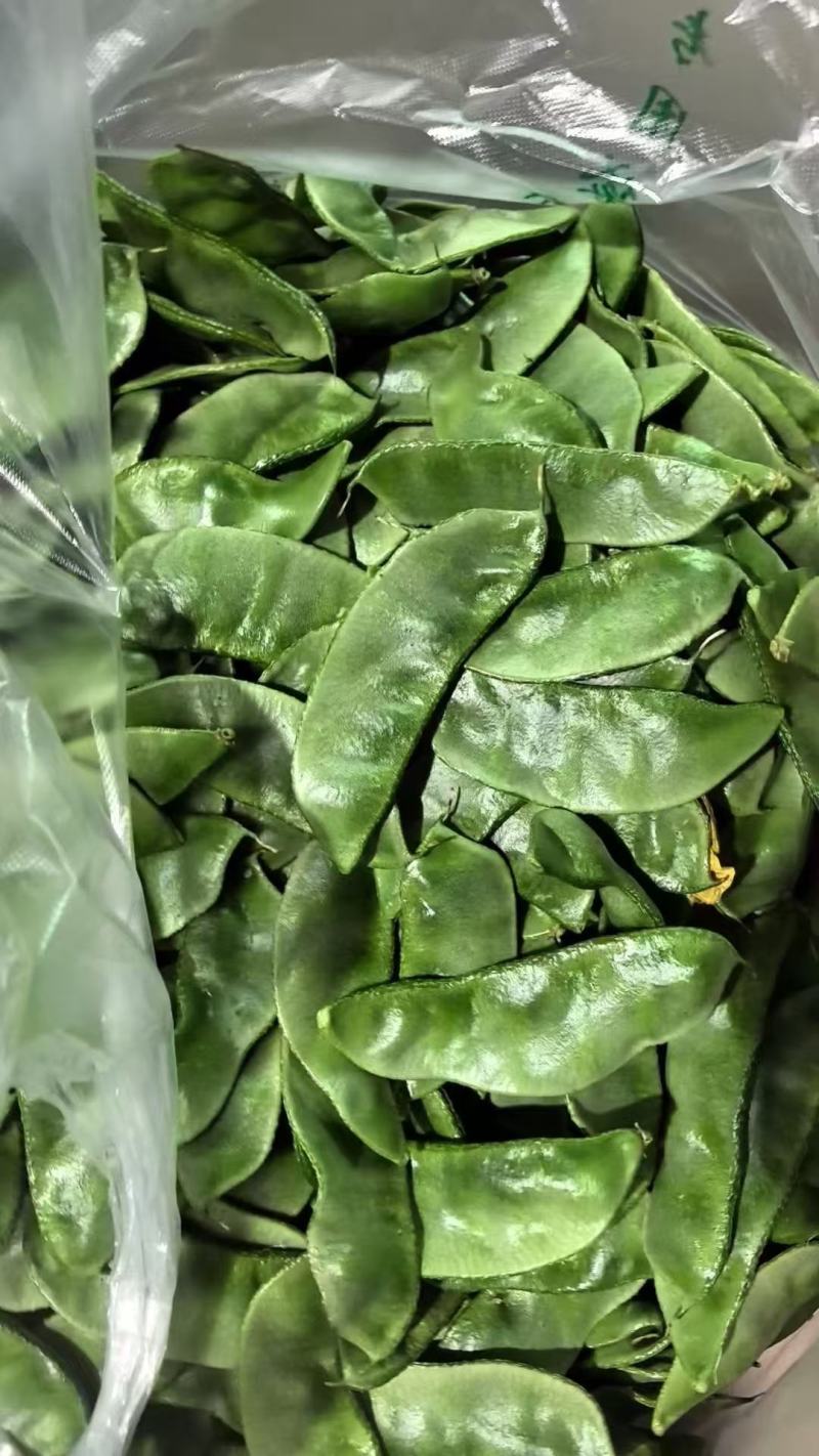 冷棚眉豆大量上市