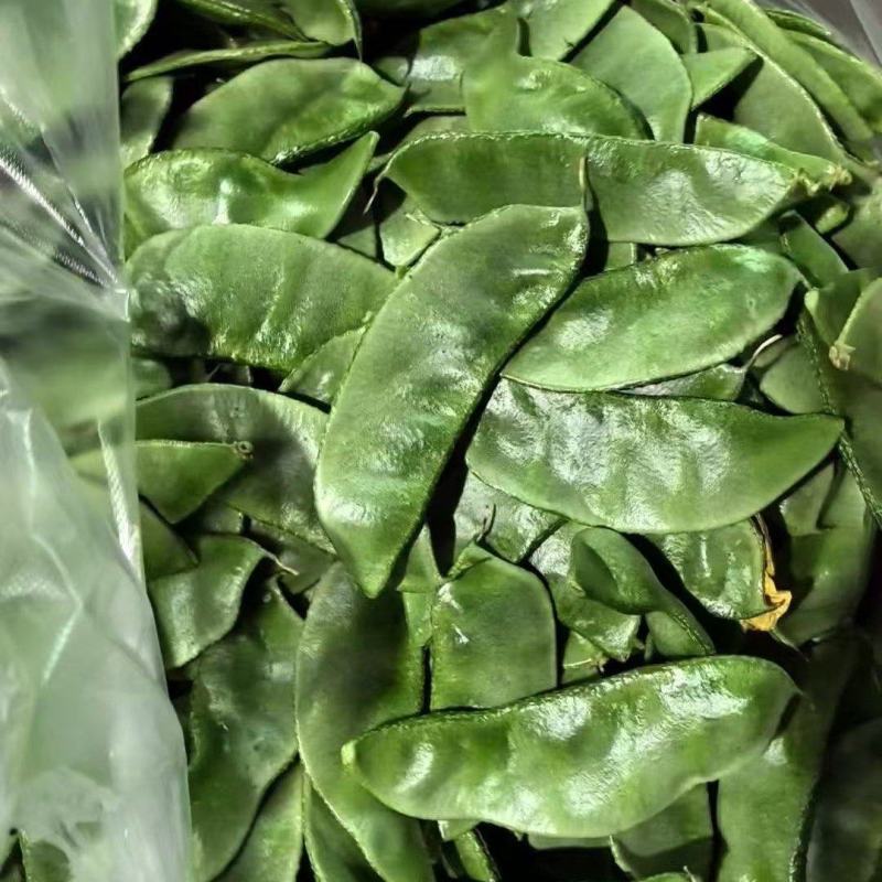 冷棚眉豆大量上市