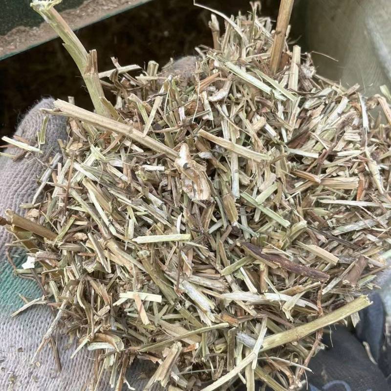 长年出售花生秧子无霉变保证质量，可视频看货，全国发货