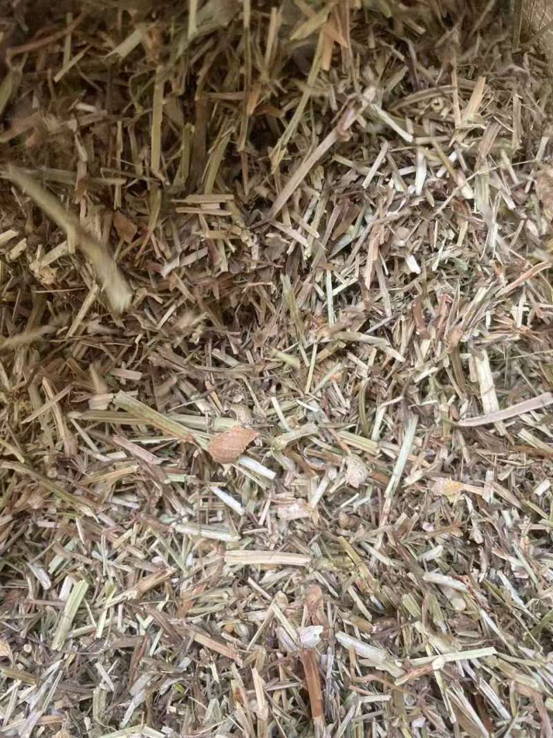 一级花生秧牛羊草料/花生秧饲料品种保证一手货源可视频看货
