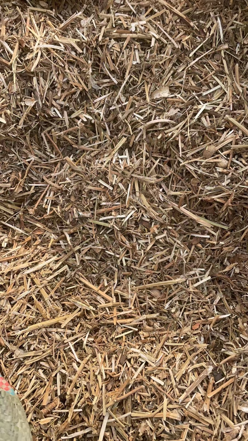 一级花生秧牛羊草料/花生秧饲料品种保证一手货源可视频看货