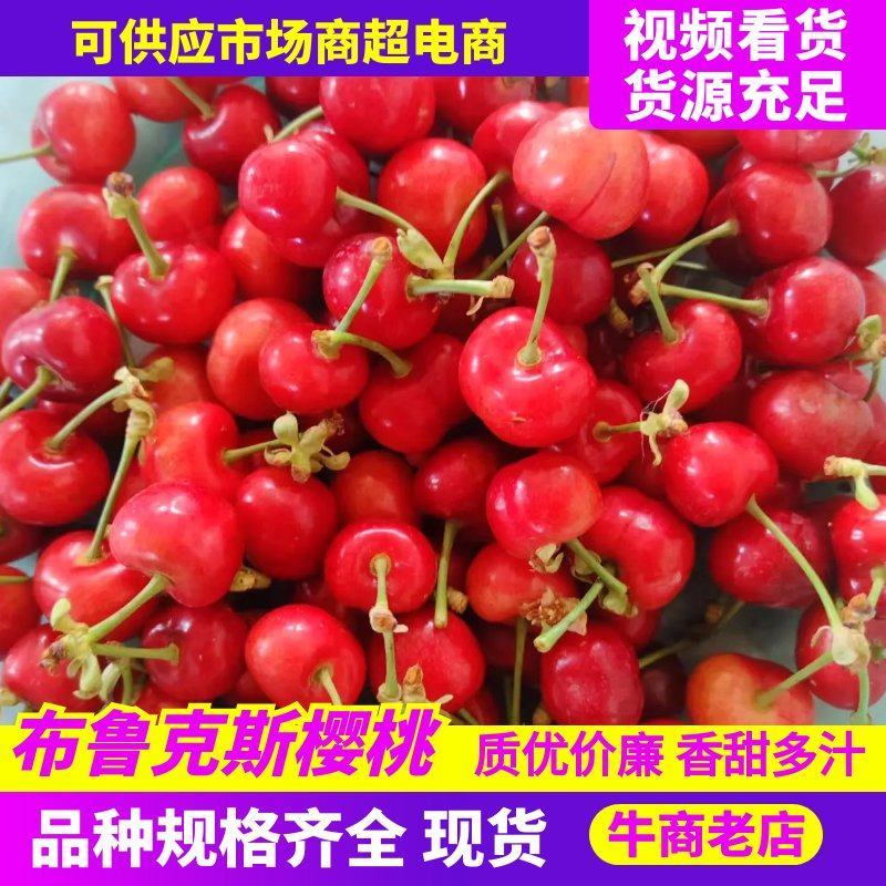 布鲁克斯樱桃陕西澄城产地发货个大色好糖度高水分足口感好耐运输