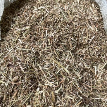 一级花生秧牛羊草料/花生秧饲料品种保证一手货源可视频看货