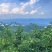 四川达州高山脆红李，万亩种植基地，产地直发，欢迎各位老板