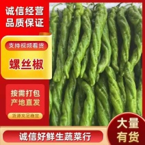 1【推荐】麻花螺丝椒大量供应需要的老板联系支持各种包装