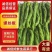 1【推荐】麻花螺丝椒大量供应需要的老板联系支持各种包装