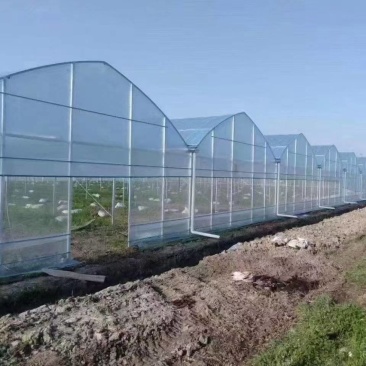 种植大棚蔬菜大棚配件骨架钢管全套冷棚暖棚支持定制源头厂家