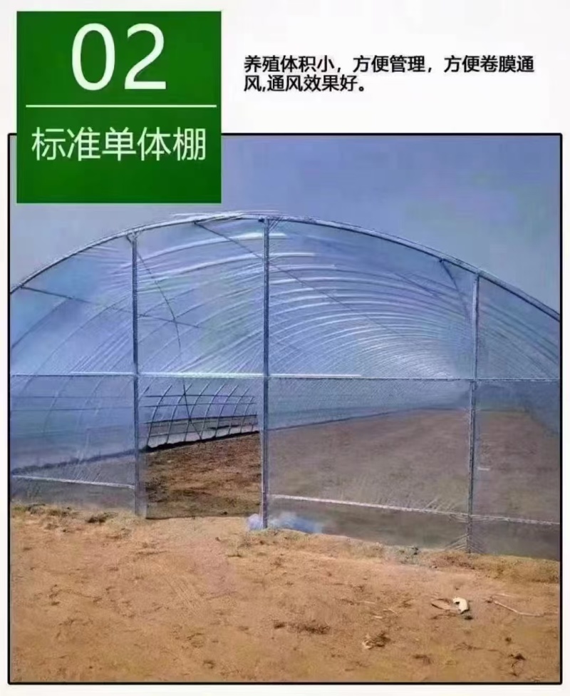 种植大棚蔬菜大棚配件骨架钢管全套冷棚暖棚支持定制源头厂家