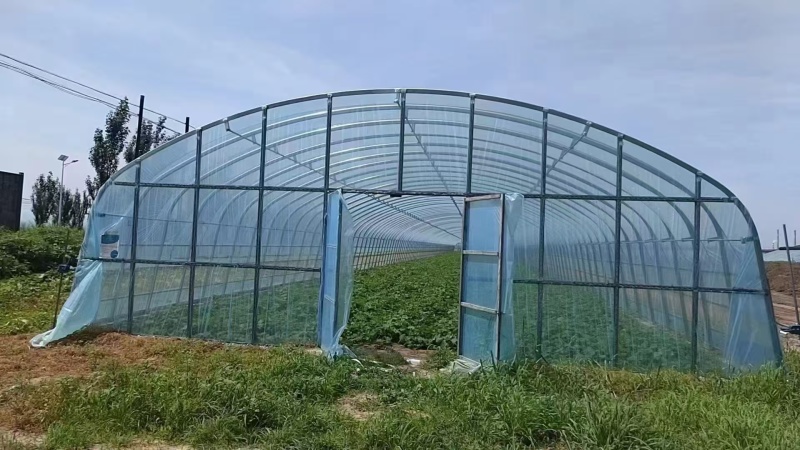 种植大棚蔬菜大棚配件骨架钢管全套冷棚暖棚支持定制源头厂家