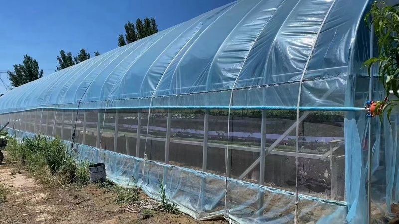 种植大棚蔬菜大棚配件骨架钢管全套冷棚暖棚支持定制源头厂家