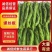 【推荐】麻花螺丝椒大量供应需要的老板联系支持各种包装