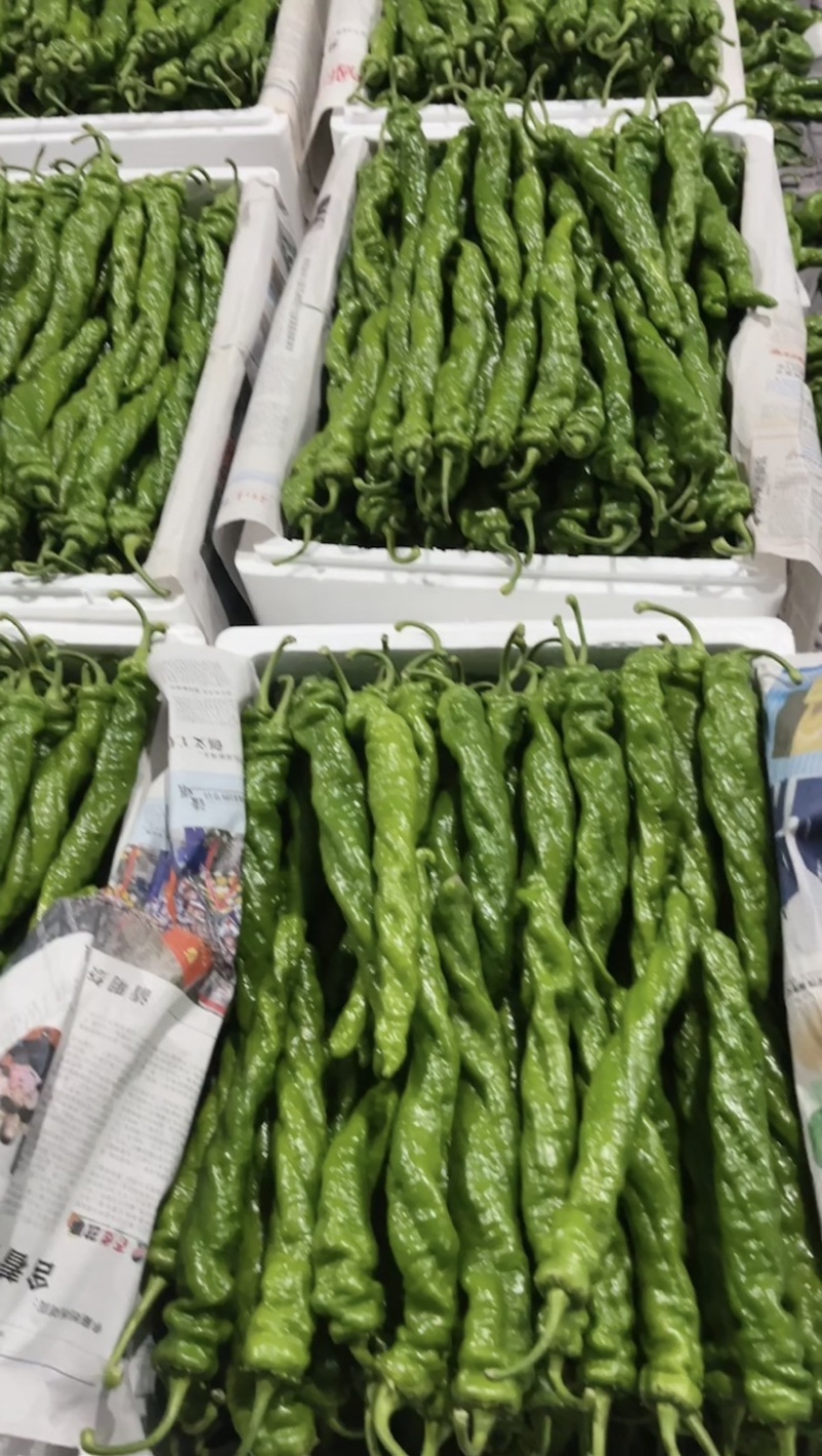 【推荐】麻花螺丝椒大量供应需要的老板联系支持各种包装