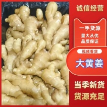 精品大黄姜产地货源【电商货市场】坏烂包赔。