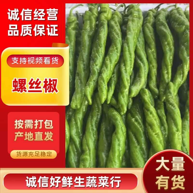 【全螺】螺丝椒大量供应需要的老板联系，支持各种包装