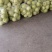 精品甜瓜甜宝香瓜小白瓜，基地直供，大量有货！