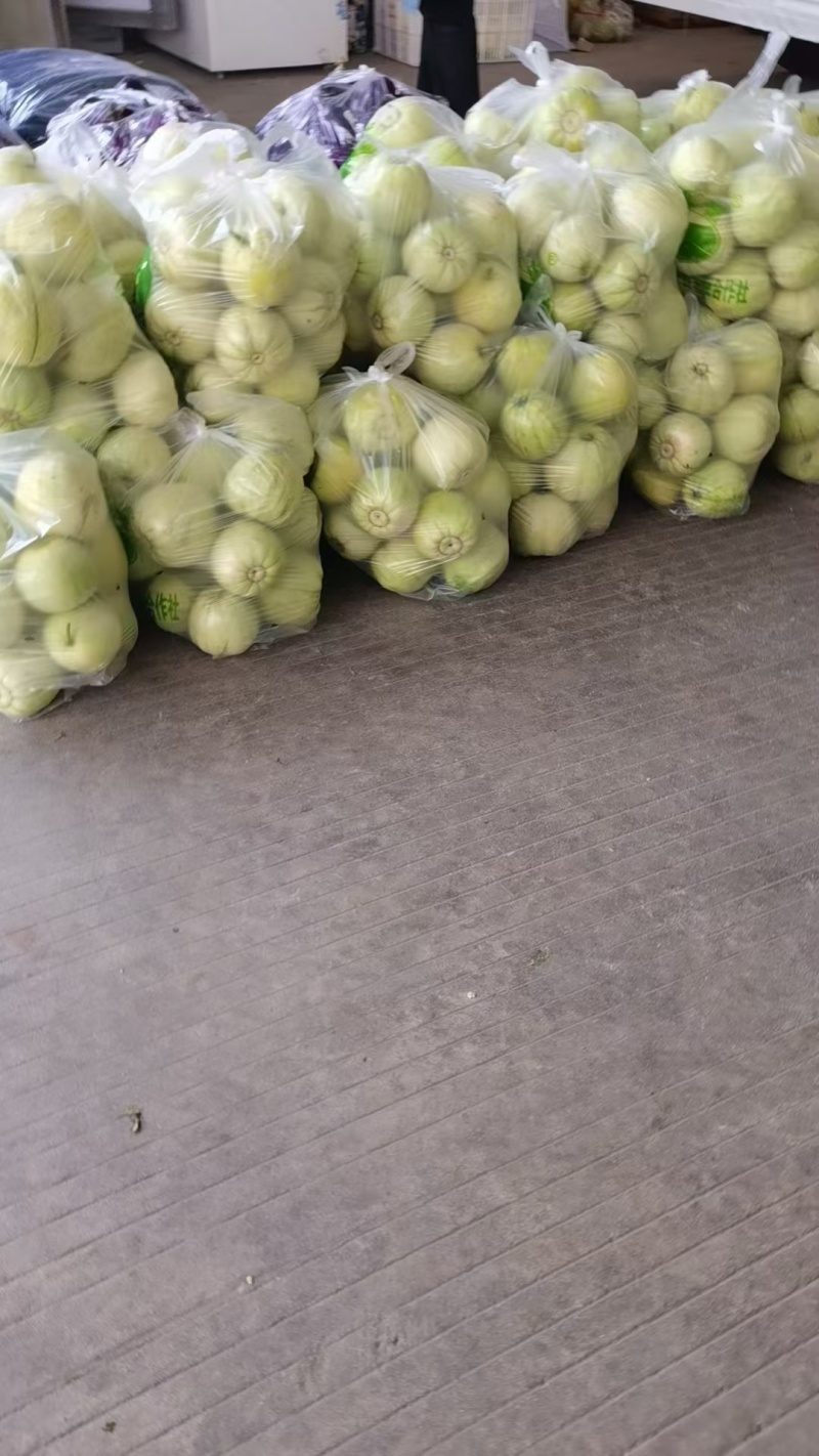精品甜瓜甜宝香瓜小白瓜，基地直供，大量有货！