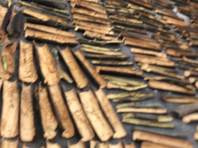 玉桂皮油桂干桂皮欢迎各位老板采购价格量大可洽谈