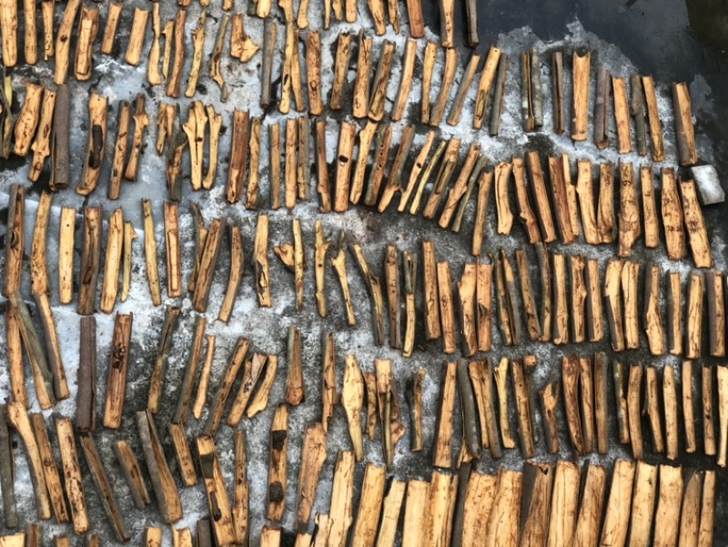 玉桂皮油桂干桂皮欢迎各位老板采购价格量大可洽谈