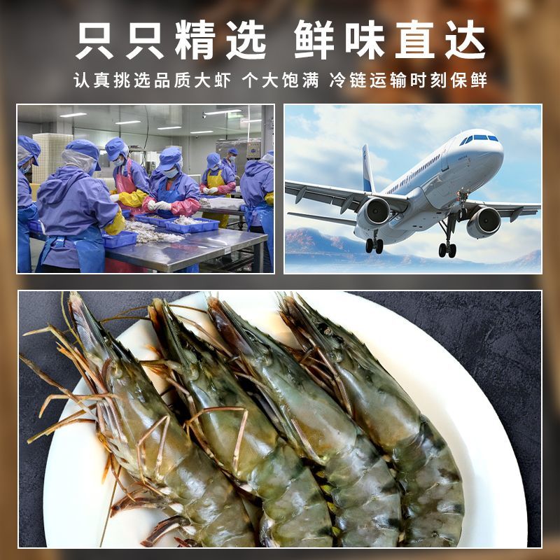 黑虎虾