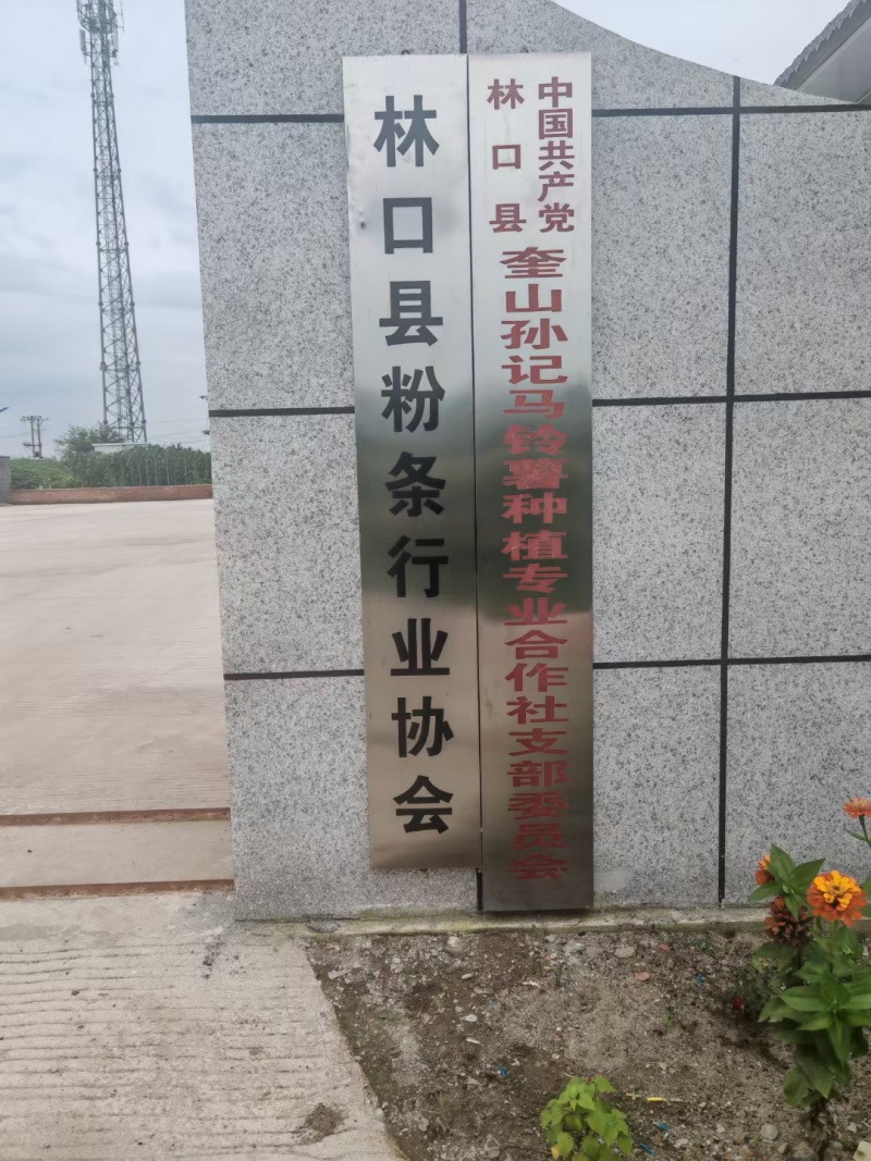 奎山粉条厂家直销