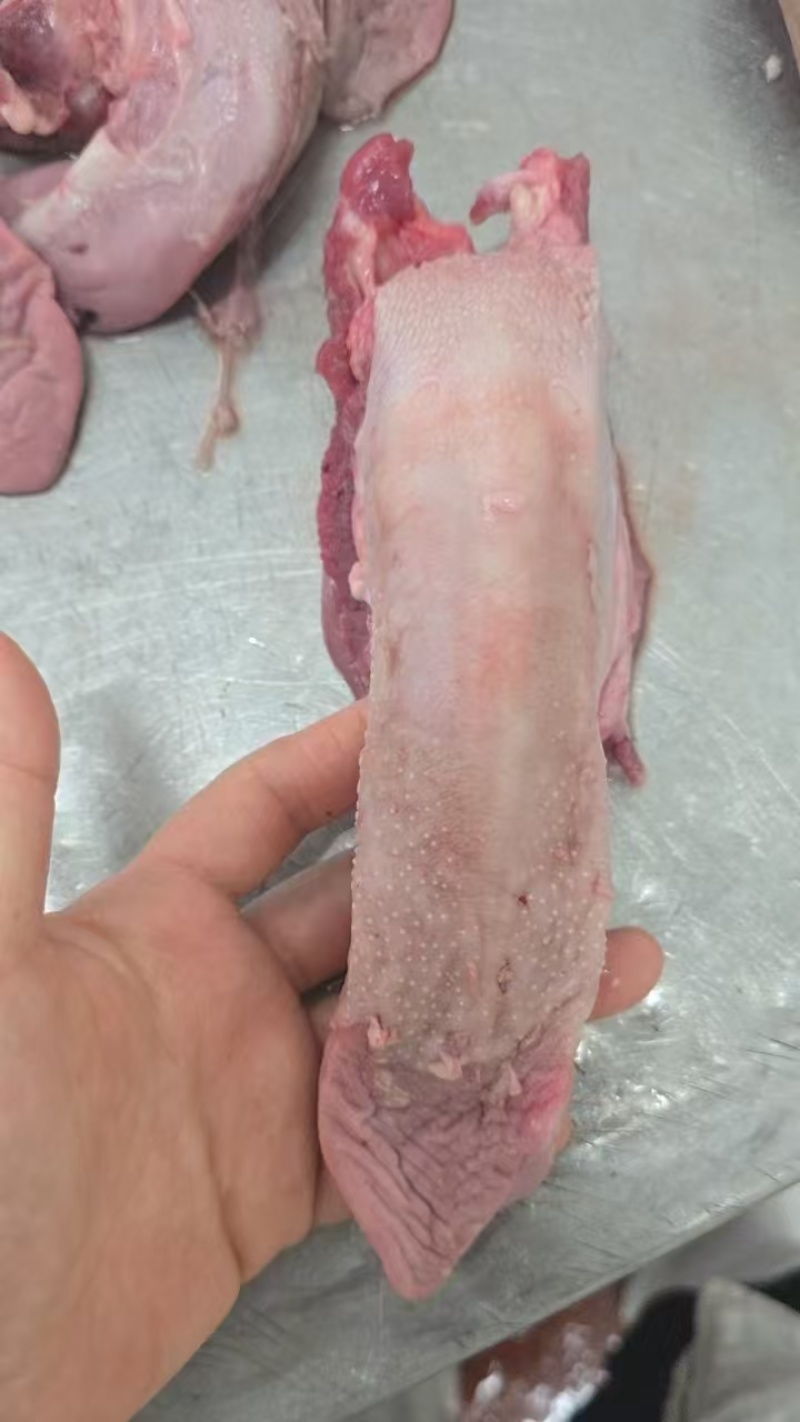 舌头（口条）