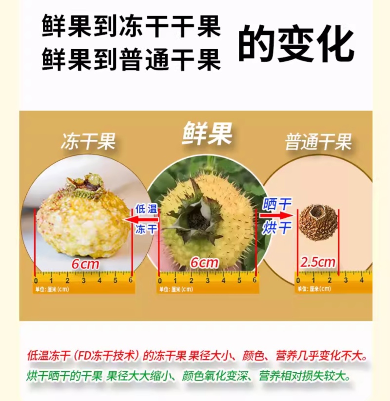 贵州冻干刺梨源头产地直发（紧缺货源存量3吨）