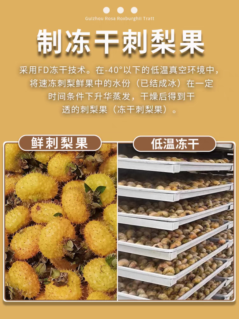 贵州冻干刺梨源头产地直发（紧缺货源存量3吨）