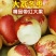 精品大荔鲜枣冬枣,新鲜上市,脆甜可口,可电商市场商超供应