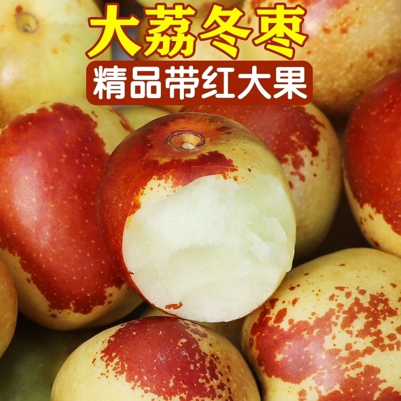 精品大荔鲜枣冬枣，新鲜上市，脆甜可口，可电商市场商超供应