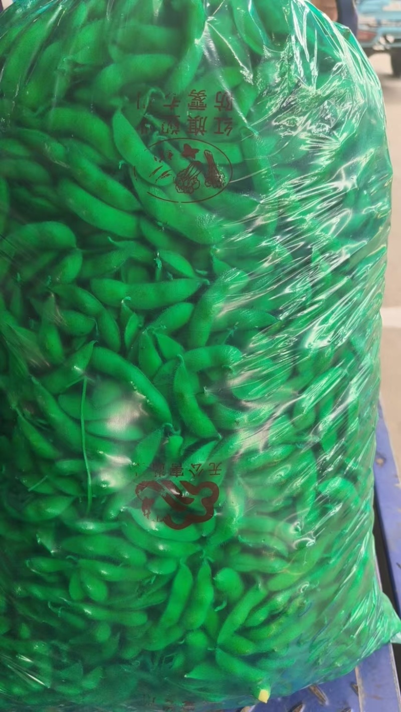 精品毛豆现摘现发品质好货源充足欢迎来电