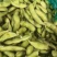 精品毛豆现摘现发品质好货源充足欢迎来电