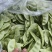精品茶豆扁豆基地直发价格实惠对接各大商超电商工厂