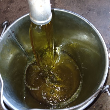 菜籽油