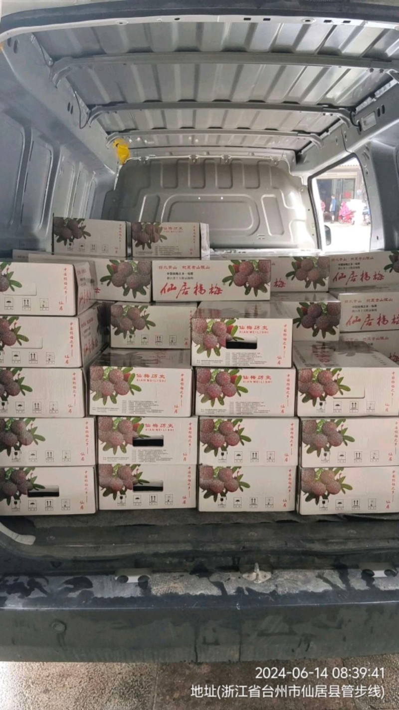 仙居杨梅荸荠小梅，产地直发，顺丰冷链现摘现发
