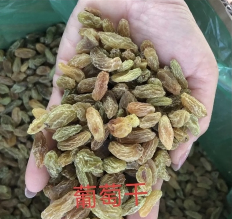 一级葡萄干，大量有货对接全国市场电商平台，欢迎新老客户前