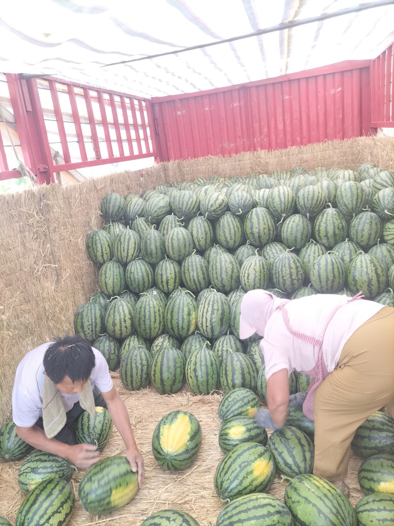 安徽省甜王西瓜，大红瓤黑籽，头茬鲜瓜，含糖量高，产地现货