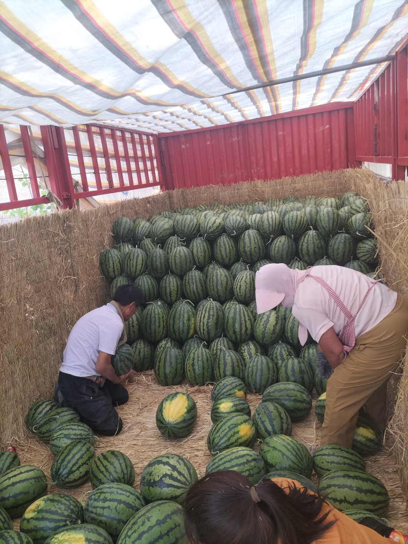 安徽省甜王西瓜，大红瓤黑籽，头茬鲜瓜，含糖量高，产地现货