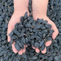 黑加仑葡萄干，大量有货欢迎新老客户前来合作