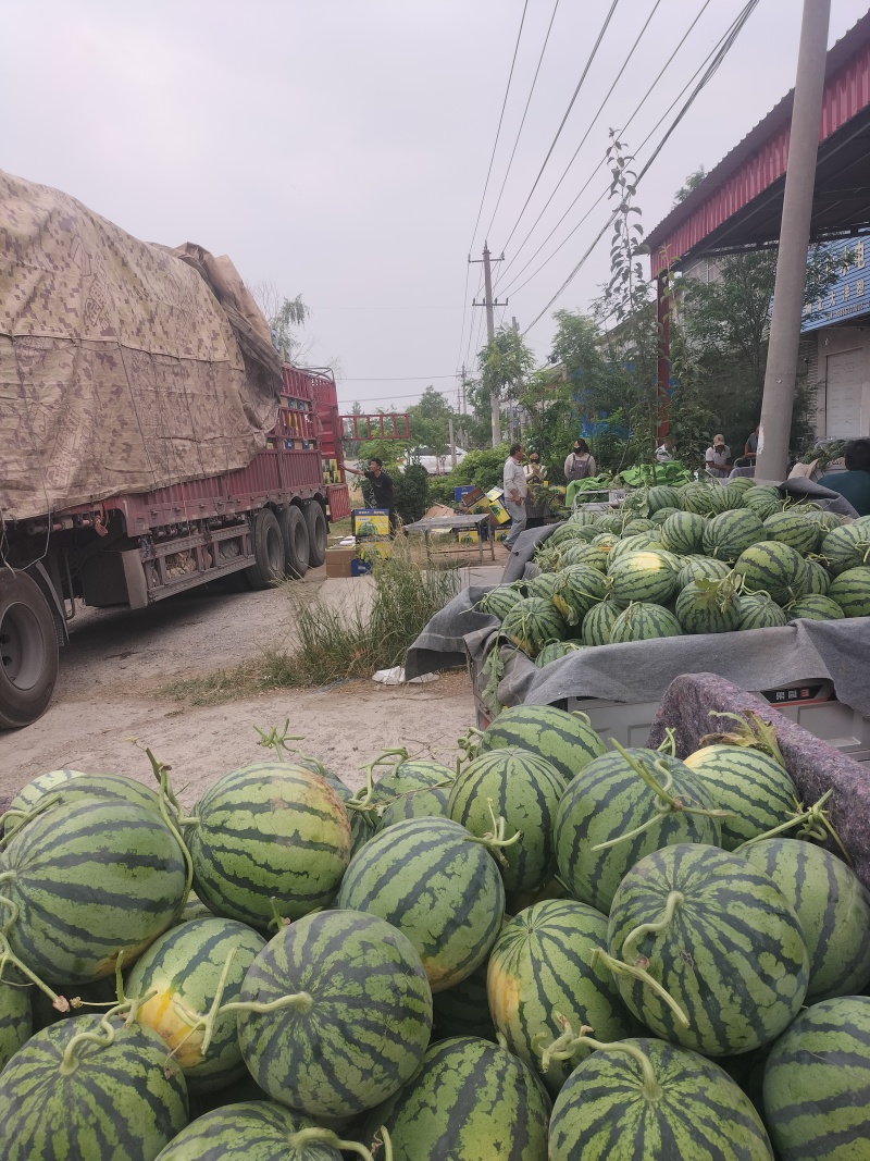 安徽省甜王西瓜，大红瓤黑籽，头茬鲜瓜，含糖量高，产地现货